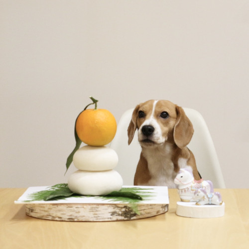 2026.01 新年ロコ②.jpg