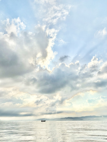 2026.03 朝の景色①.jpg