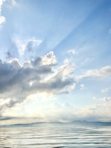 2026.03 朝の景色②.jpg