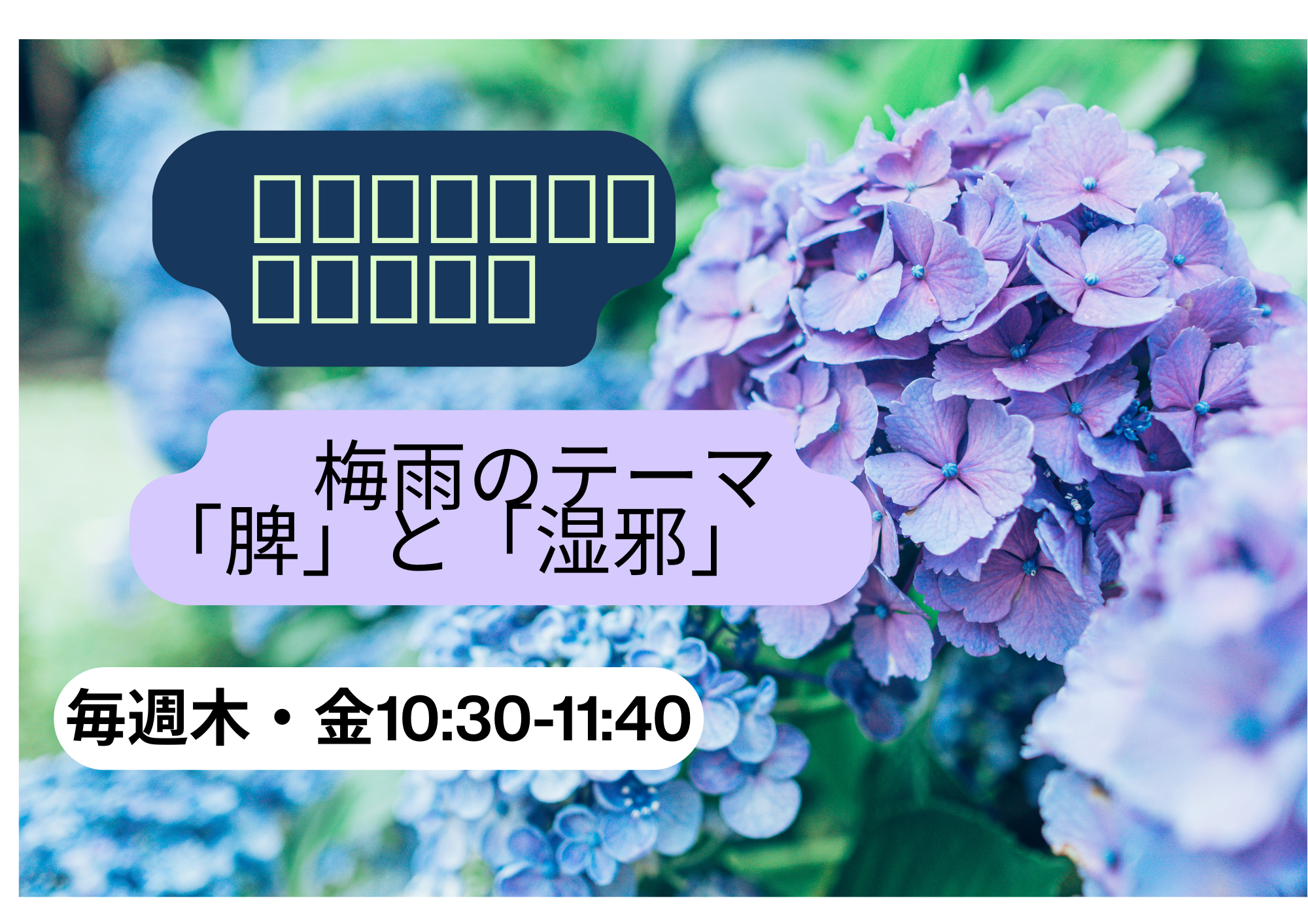 5/28(木）～　梅雨のテーマへ