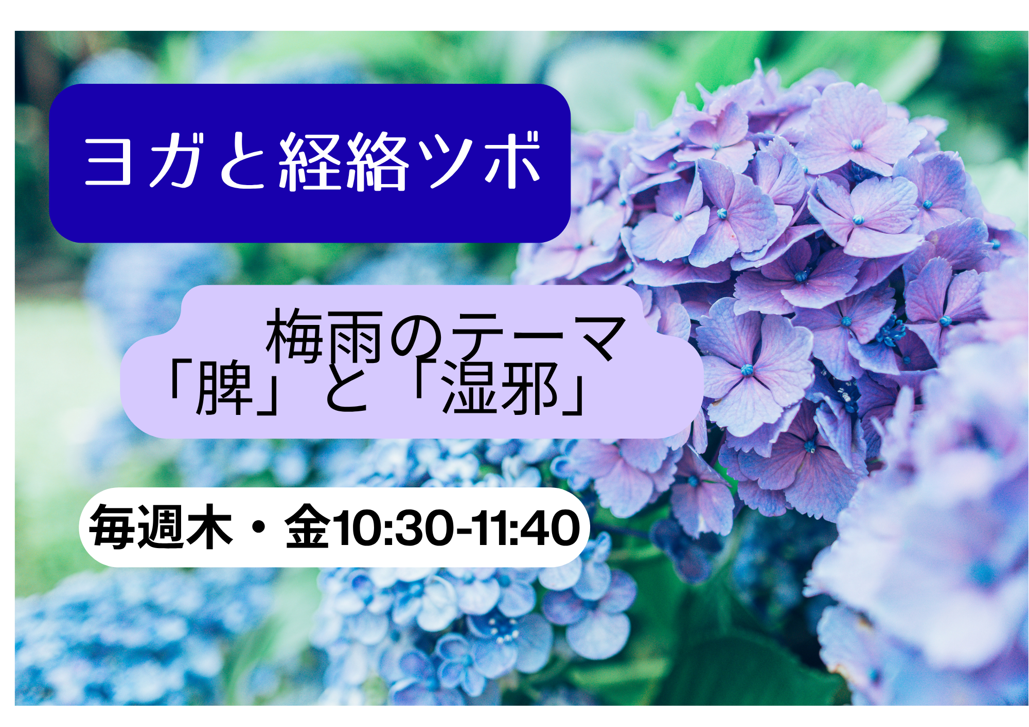 ヨガと経絡ツボ