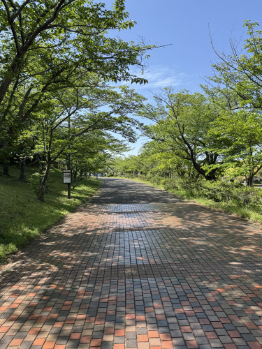 IMG_9244.jpeg
