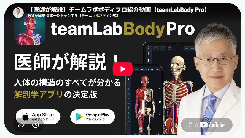 解剖学の知識3D人体解剖学アプリ、私はここに投資したい。