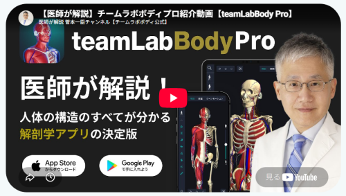 【PR】解剖学の知識3D人体解剖学アプリ、私はここに投資したい。