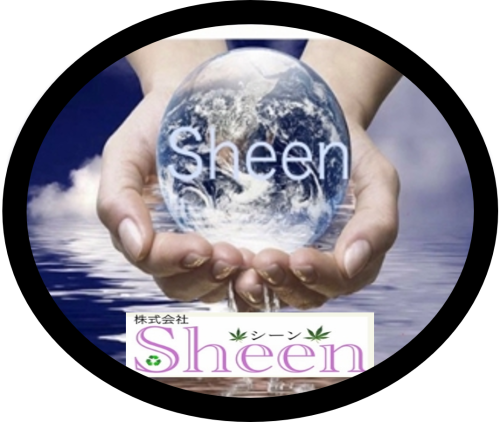 活動内容と展望について