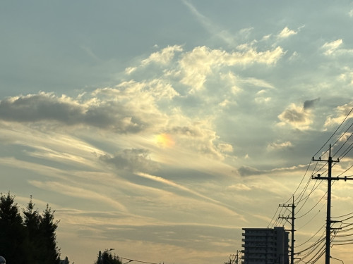 IMG_6844.jpeg