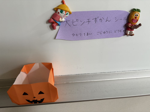 IMG_6848.jpeg