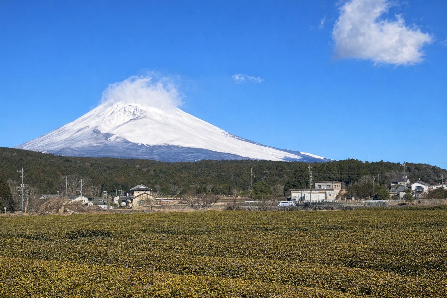 日本人の『おもしろがる』という優しさ