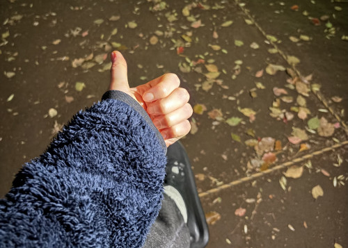 代々木八幡宮、夜のお散歩。