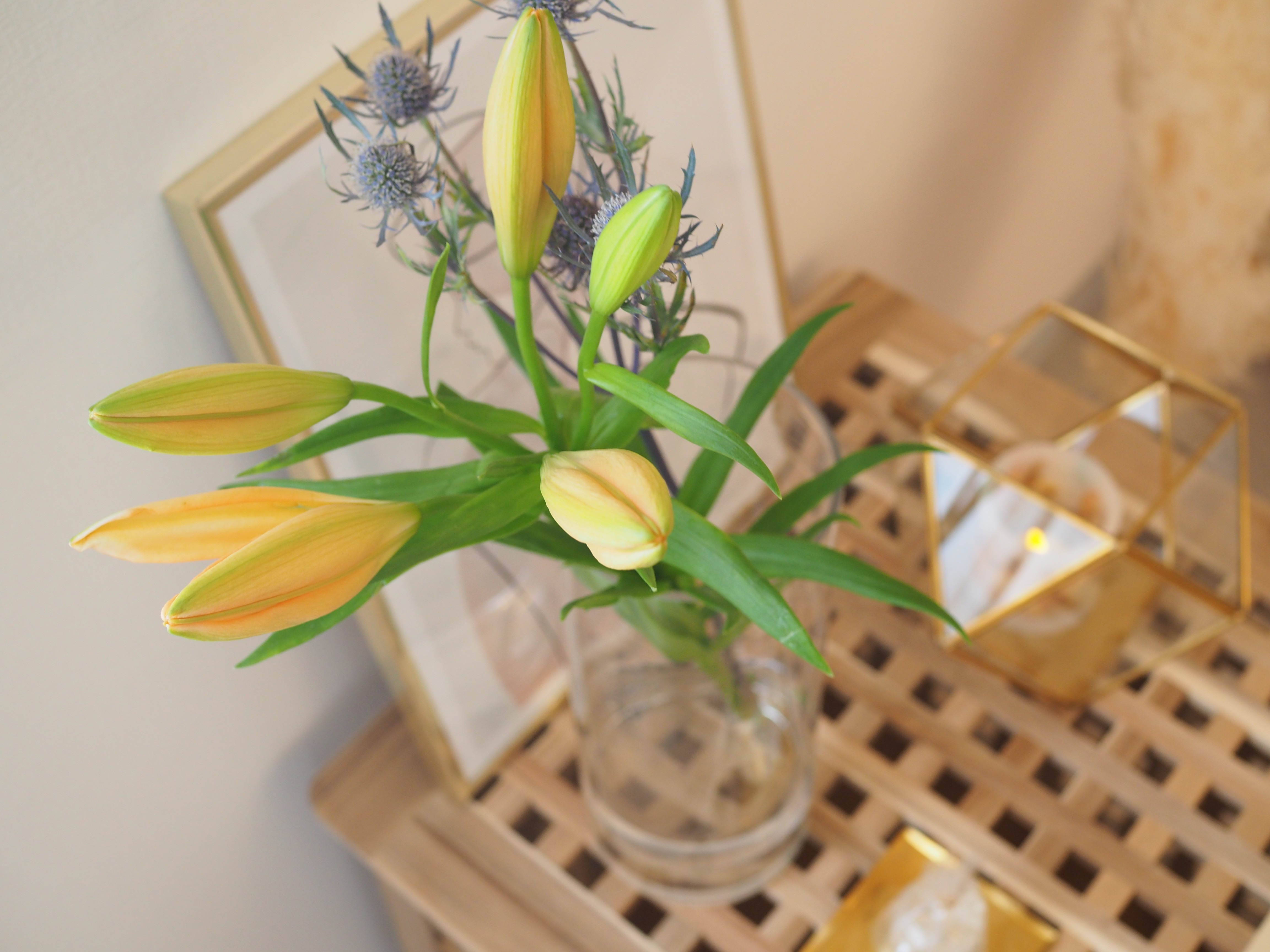 盛りだくさんな小顔メニューに大満足です！