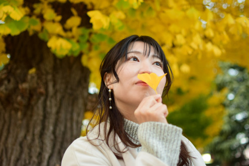 イチョウと一緒に