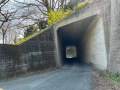 IMG_3709.jpeg
