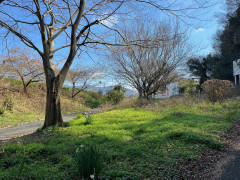 IMG_3712.jpeg