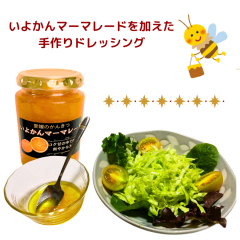 いよかんマーマレードドレッシングに.png