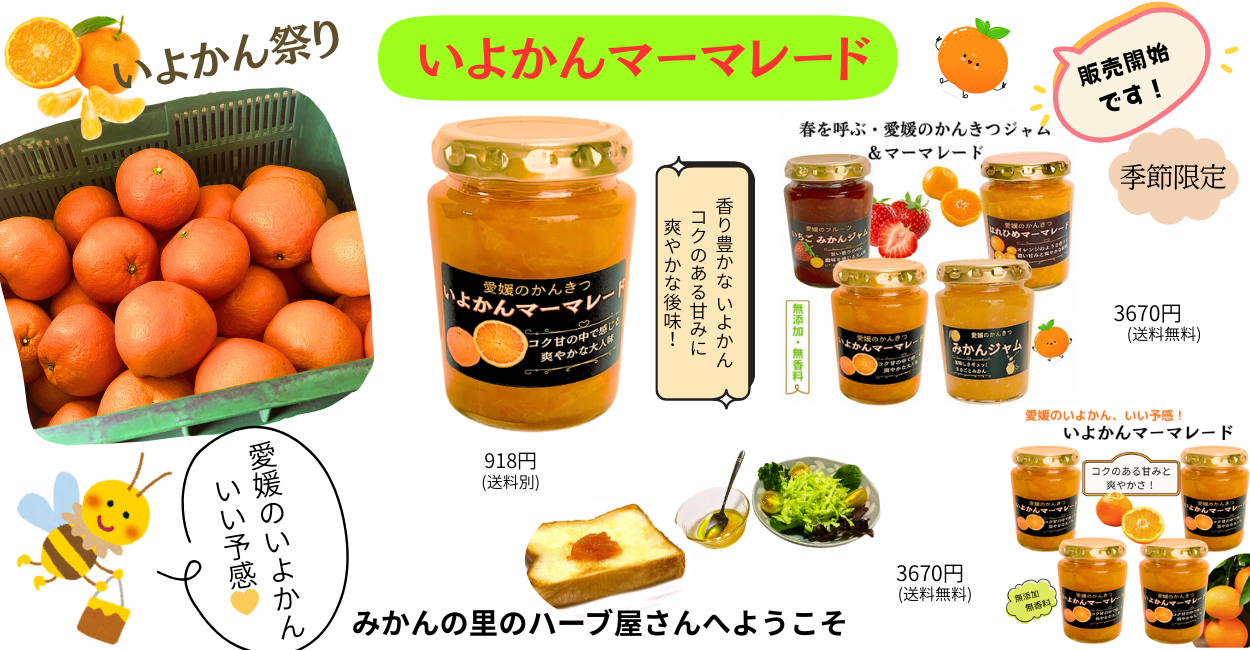 いよかん祭り 「いよかんマーマレード」 販売開始です！