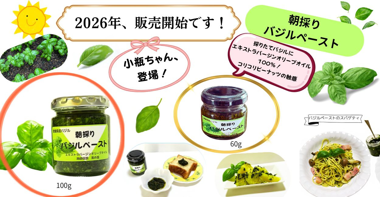 2026年初夏、「朝採りバジルペースト」販売開始です！