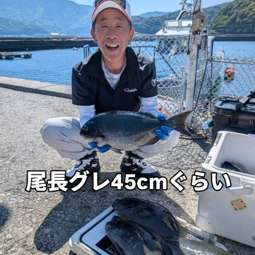 IMG_20260517_202541_725.jpg