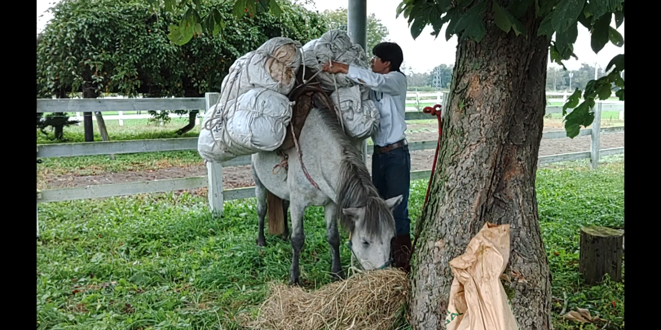 だんづけ講習　一日