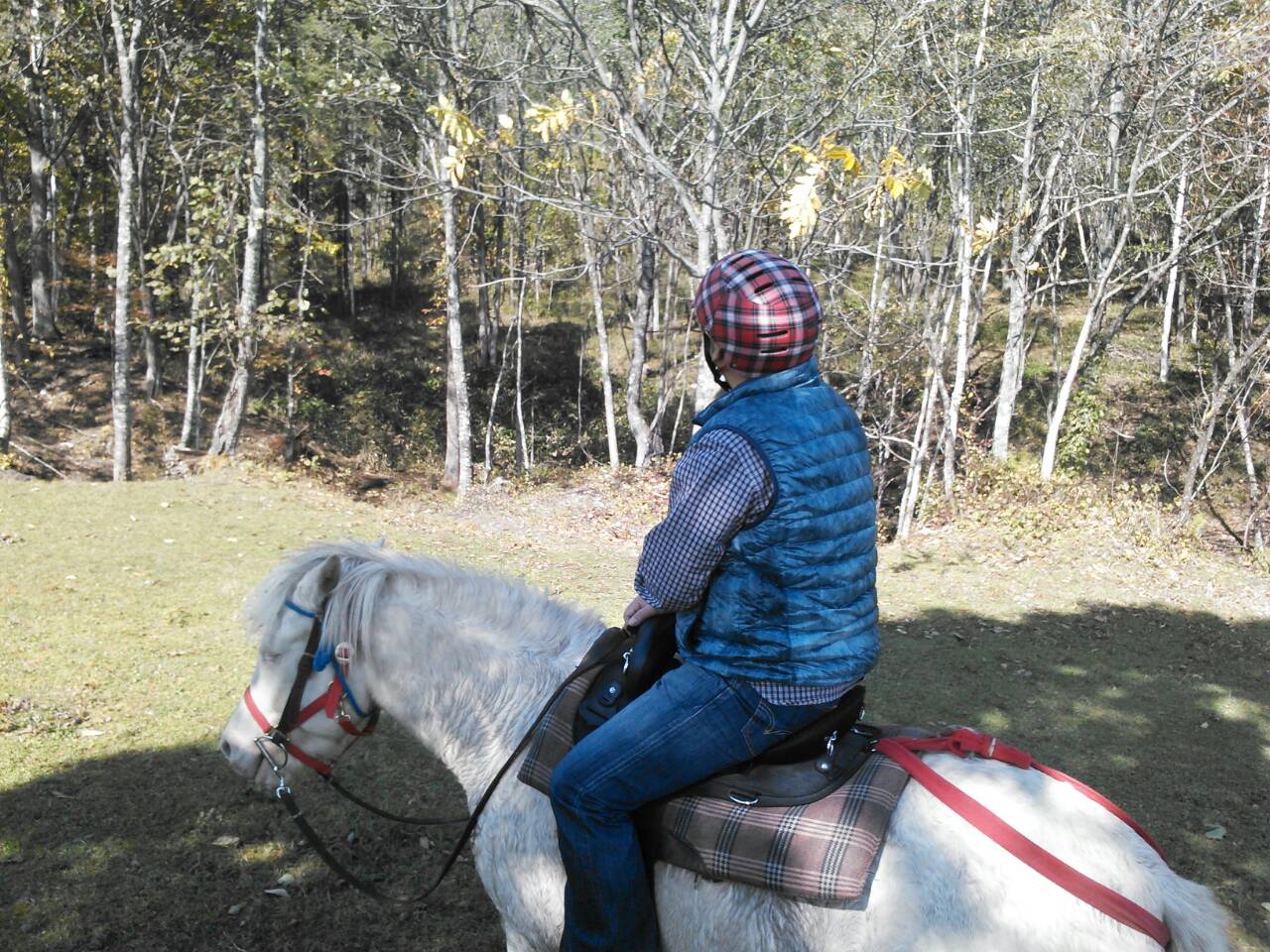 ホ－ストレッキング2時間