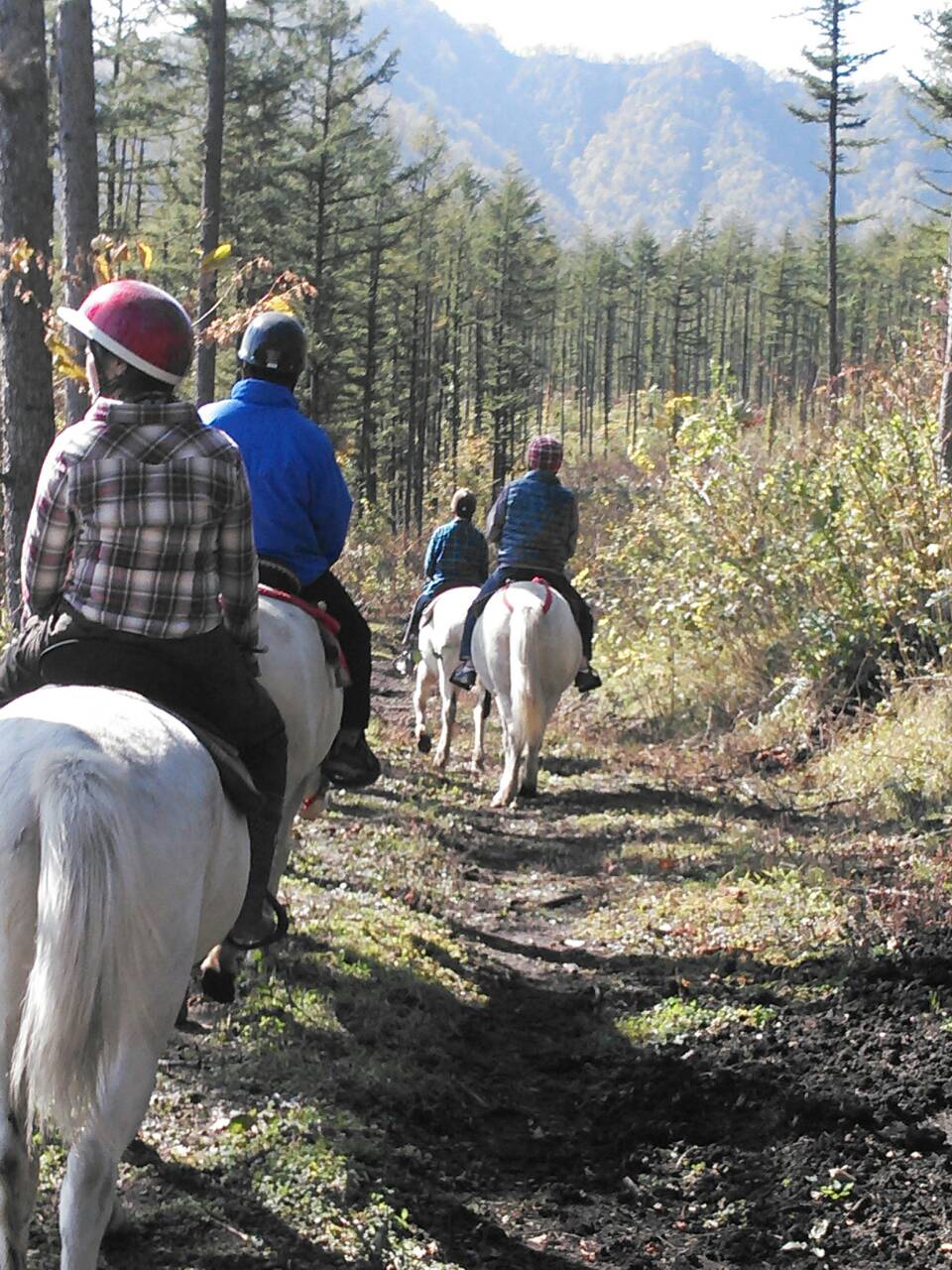 ホ－ストレッキング　1時間