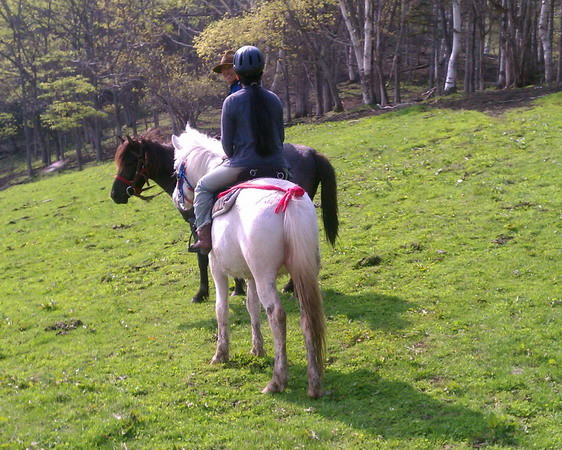 ホ－ストレッキング受付のお知らせ