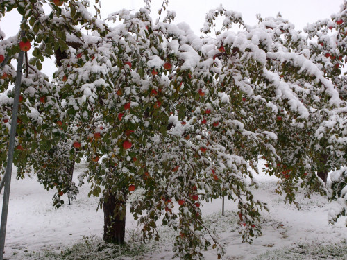 DSC_0167.jpg