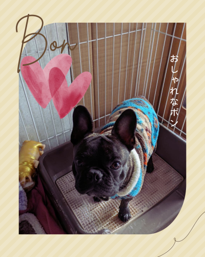 茶色 シンプル レシピ instagram投稿.png