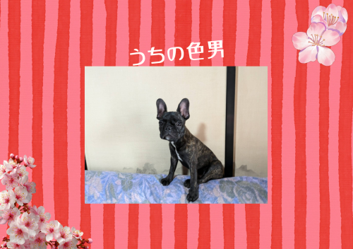 Red & Pink Stripes Classic Folded Birthday Folded Card.png