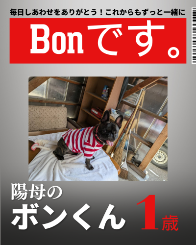 ペット インパクト ビジネス誌 表紙 インスタグラム投稿(45).png