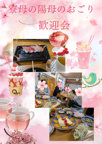 ピンク ホワイト 春 桜 ドリンクメニュー A4チラシ.png