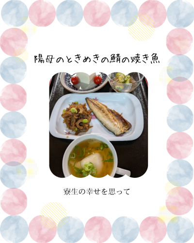 白　シンプル　食事　飲食　Instagram投稿.png