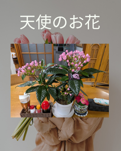 白と緑の水彩　ミニマルなインフォメーションのインスタグラムの投稿（45）.png