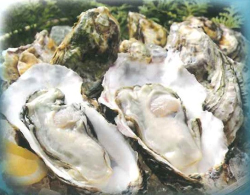 生牡蠣.jpg