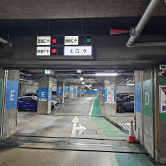1000023295.jpg