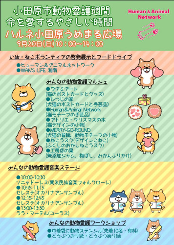 9月20日(日)「小田原市動物愛護週間 ハルネ小田原うめまる広場」に出展します