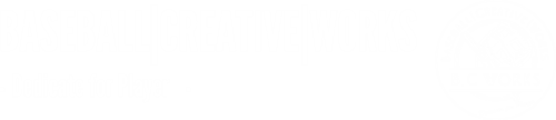 BCW_square LOGO.png