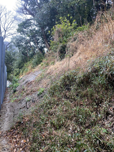 極楽寺　草刈り作業