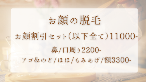 炭酸ガスパックのコピー - 1.png