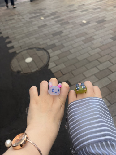 IMG_9309.jpeg