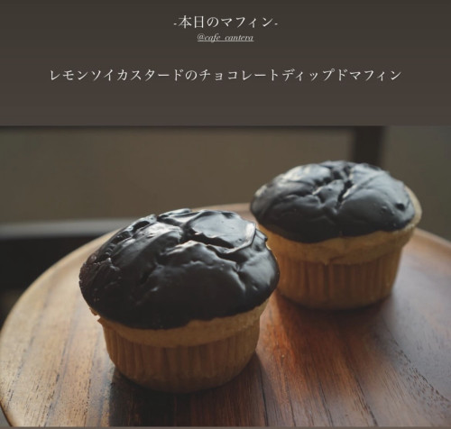 IMG_9494.jpeg