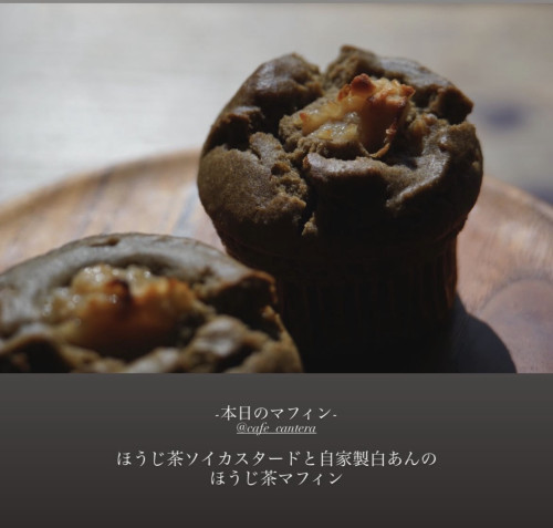 IMG_9495.jpeg