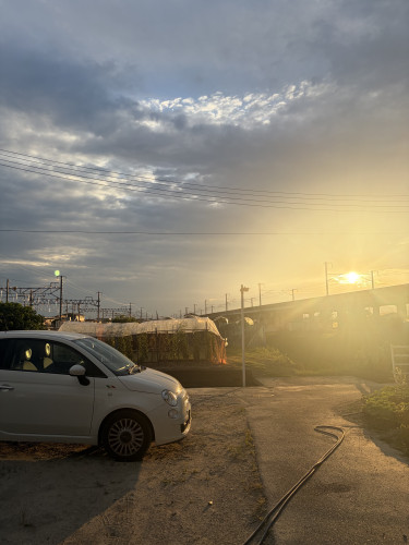 IMG_1191.jpeg