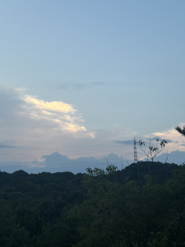 IMG_1806.jpeg