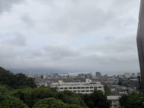 IMG_3035.jpeg