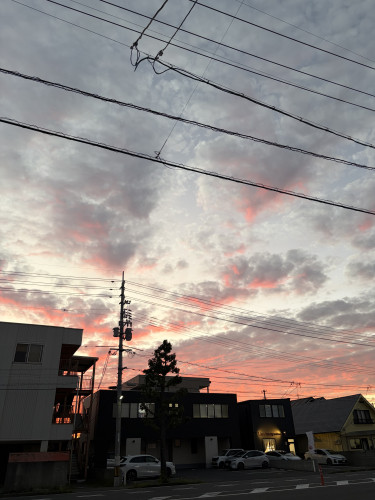 IMG_3922.jpeg