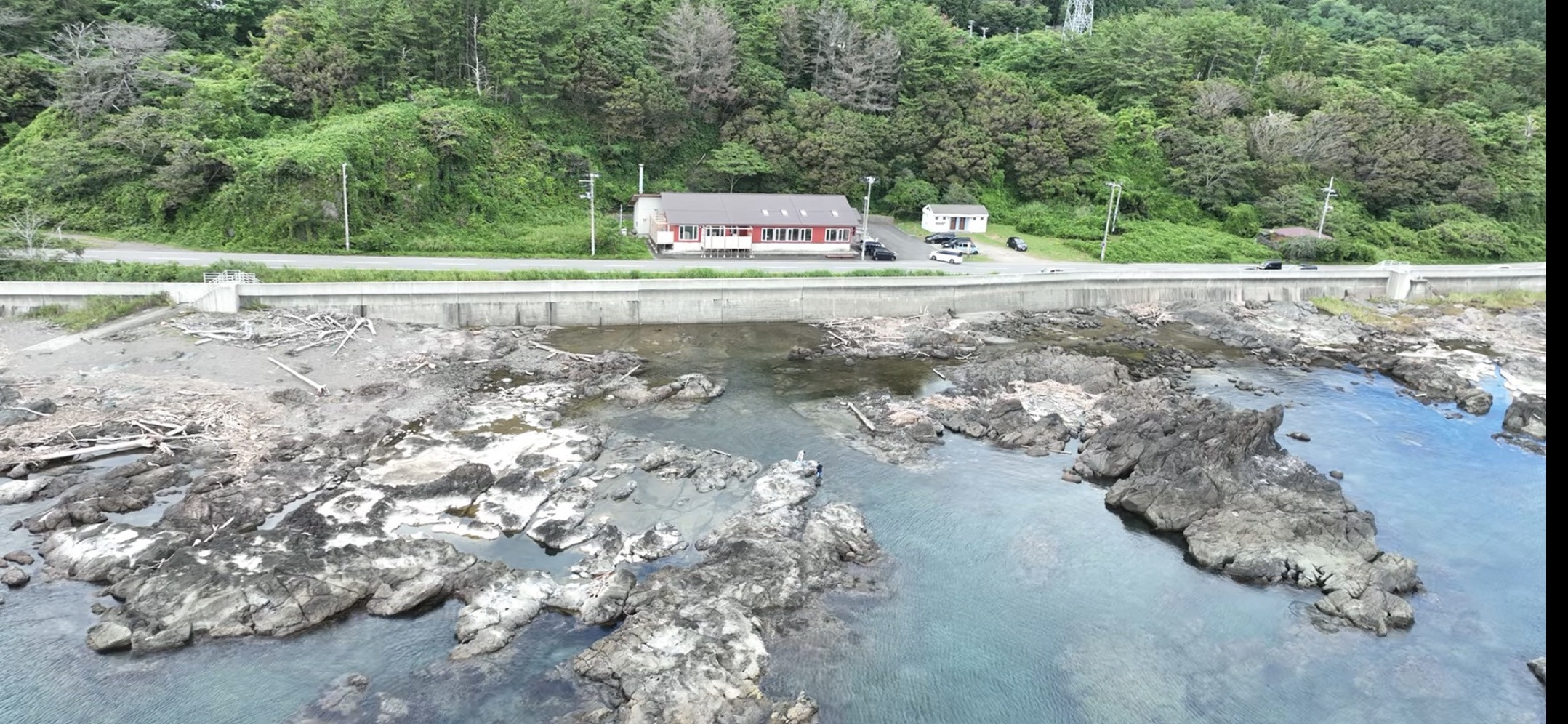 海辺のサウナカフェ