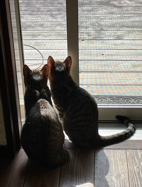 きらら苑