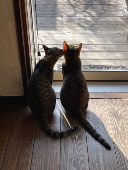 きらら苑