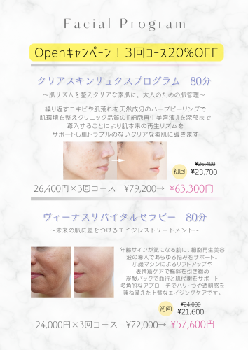 フェイシャルメニュー