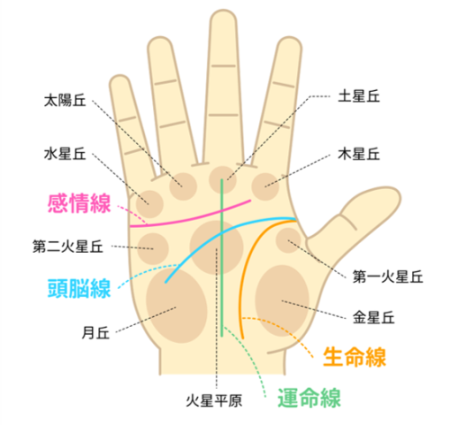 手相のイラスト2.png